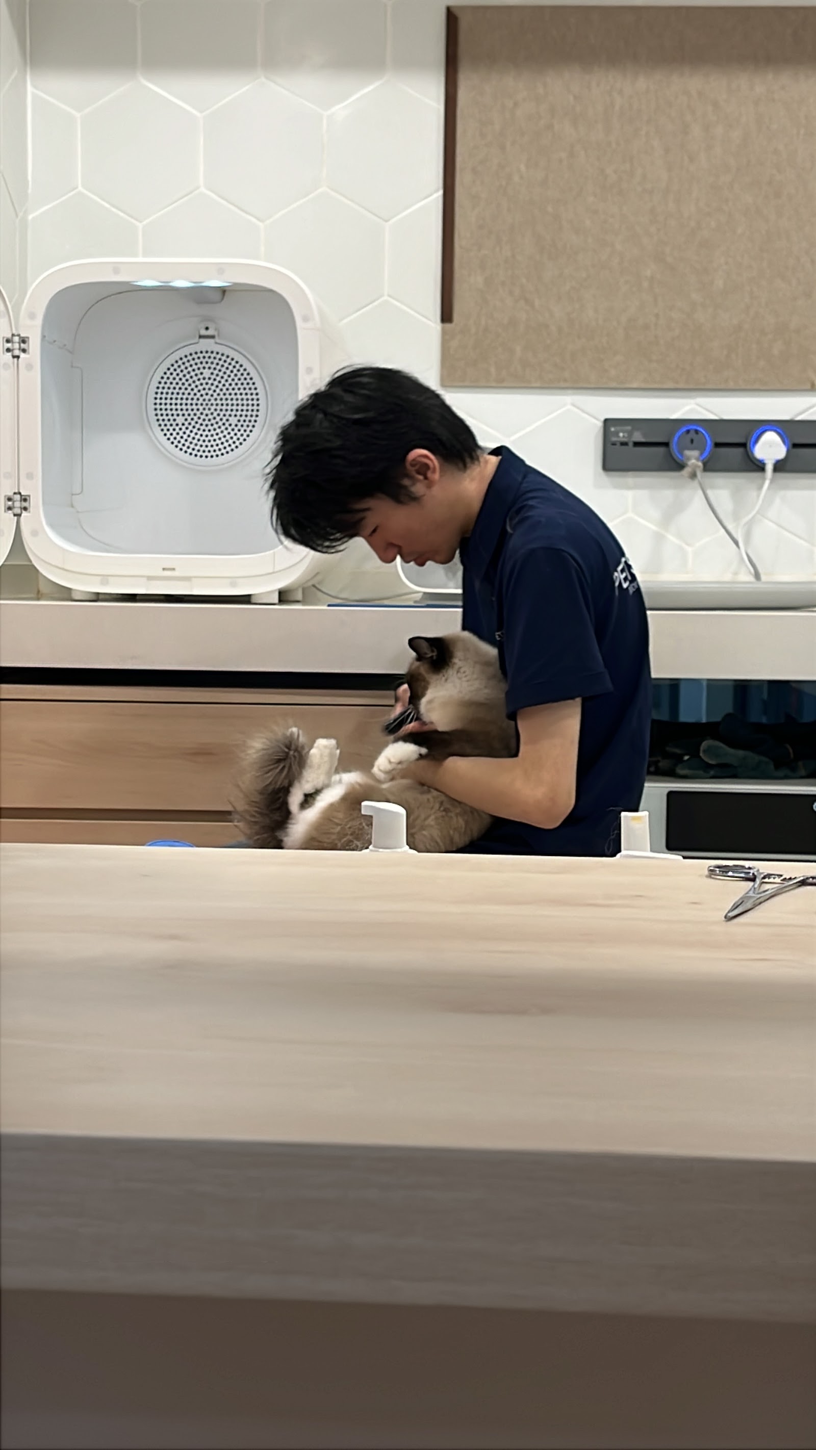 Pets Forest Sdn Bhd 10